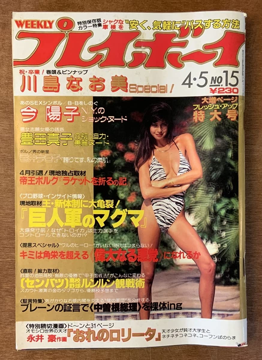 月刊プレイボーイ 2000年以前23冊セット。総て美本です。 月刊プレイボーイ 2000年以前23冊セット。総て美本です。 Yahoo